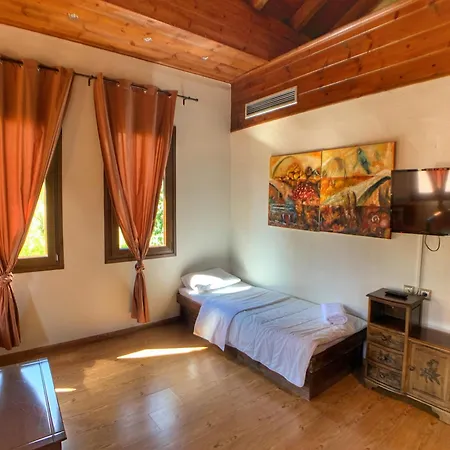 Apsis Otel Emporio (Kozani)